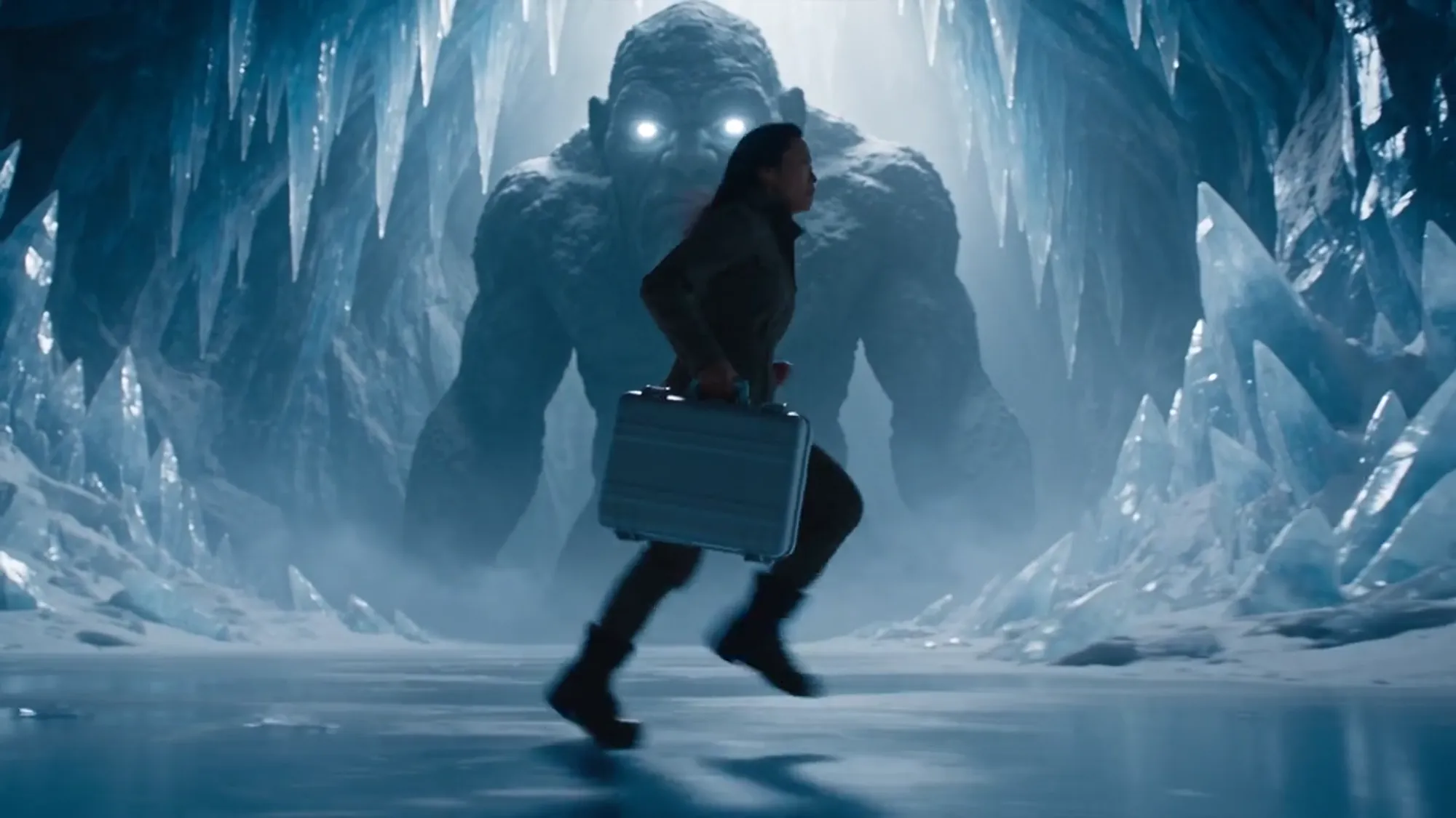 The Secret Suitcase